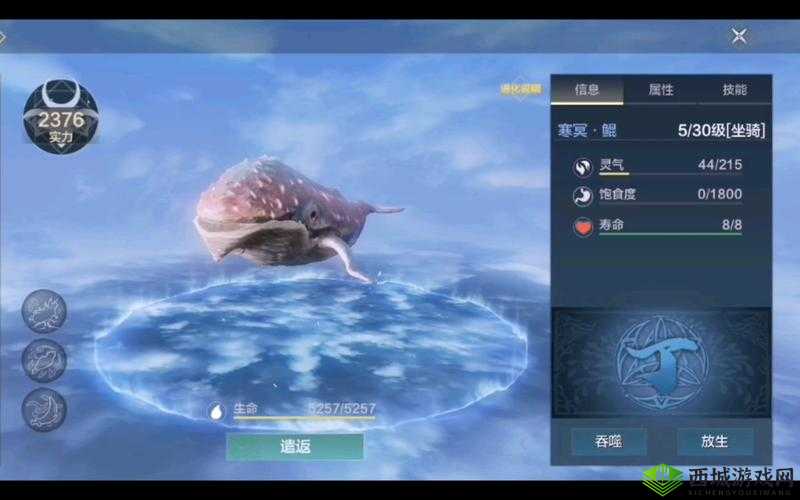 妄想山海：岳云鲲进化与乘骑秘籍大放送